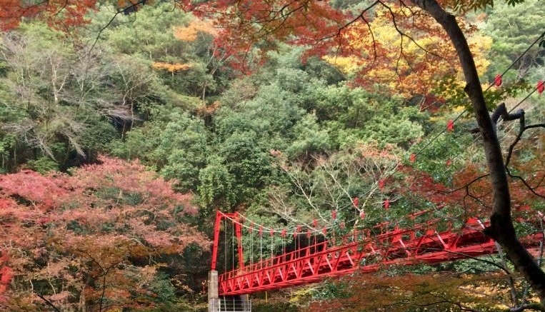 紅葉だより 萩市観光協会公式サイト 山口県萩市