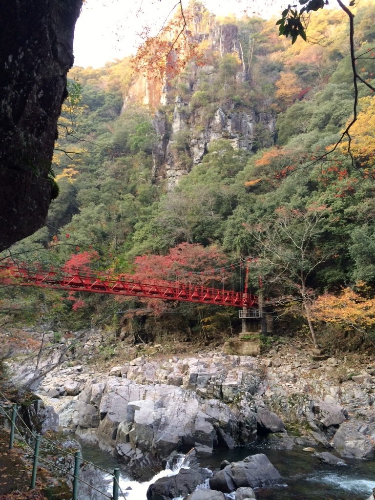 紅葉だより 萩市観光協会公式サイト 山口県萩市